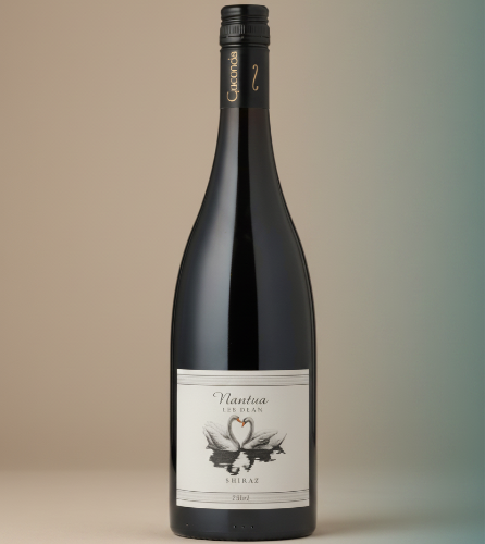 Giaconda Nantua Shiraz