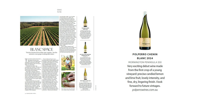 Polperro Chenin Blanc
