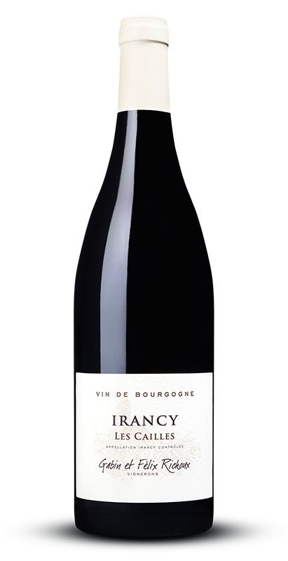 Domaine Gabin et Félix Richoux 'Les Cailles' Irancy