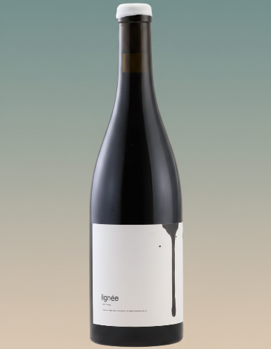 Lignée Shiraz