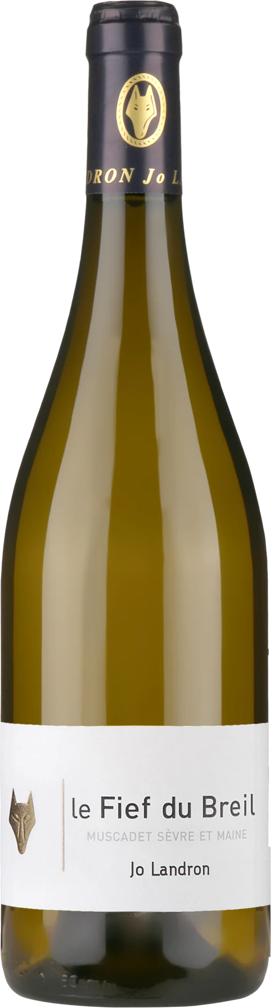 Domaine Jo Landron Muscadet Sévre ET Maine Le Fief Du Breil
