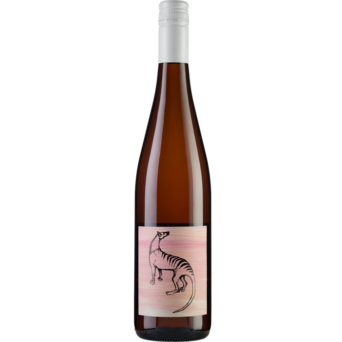 Small Island All Day Rose