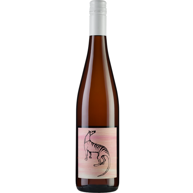 Small Island All Day Rose
