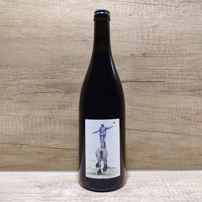 Domaine du Bon Pas‌ ‌Beaujolais-Lantignié ‘Derrière Les Fagots’
