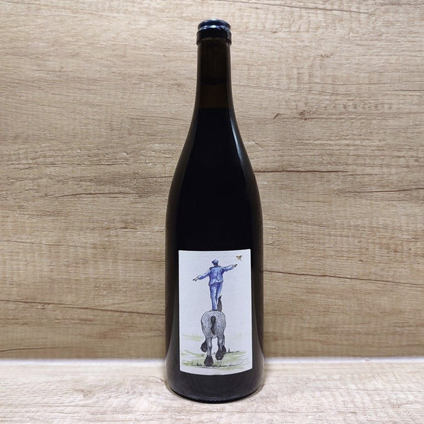 Domaine du Bon Pas‌ ‌Beaujolais-Lantignié ‘Derrière Les Fagots’