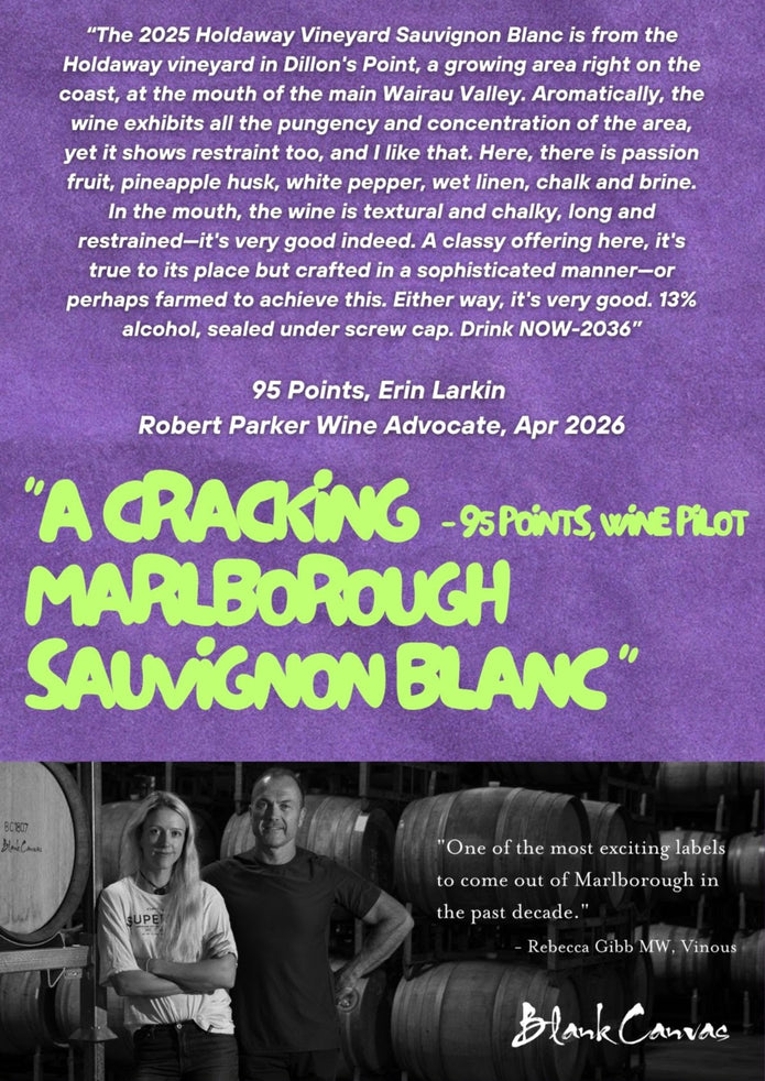 Blank Canvas Holdaway Vineyard Sauvignon Blanc (BOX OF 6)